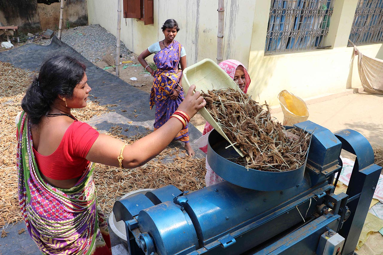 One SHG member using a threshing machine to process millet