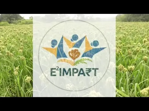 Play video: E²IMPART project overview